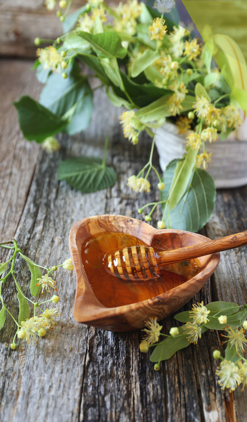 About us Health Food Manufacturers' Association