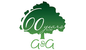 60th Logo